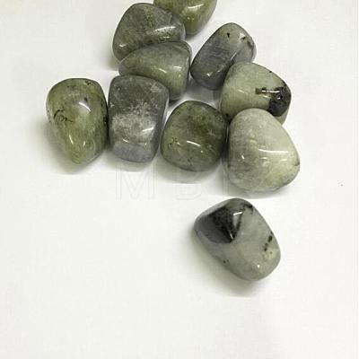 Natural Labradorite Beads G-K302-A09-1