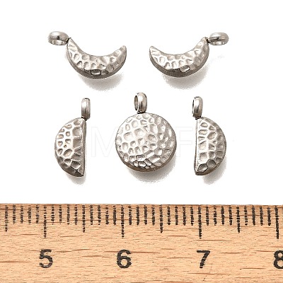 5Pcs 304 Stainless Steel Charms STAS-R140-01P-1