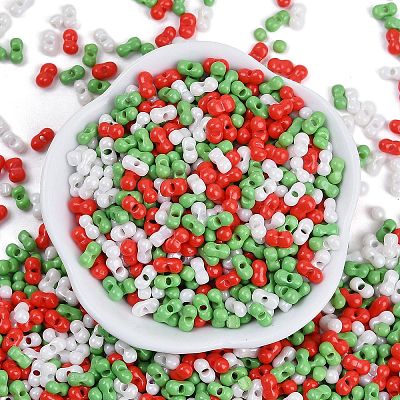 Glass Seed Beads SEED-K010-03E-1