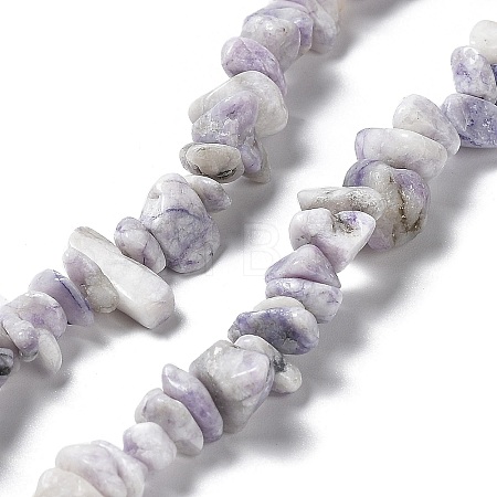 Natural Purple Turquoise Beads Strands G-M205-84-1