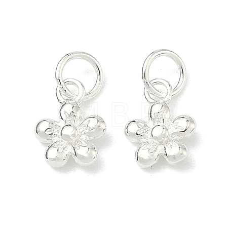 925 Sterling Silver Charms STER-A050-03A-S-1