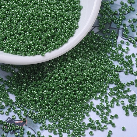 MIYUKI Round Rocailles Beads X-SEED-G007-RR0431-1