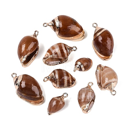 Electroplate Natural Spiral Shell Pendants SSHEL-Q100-45G-1