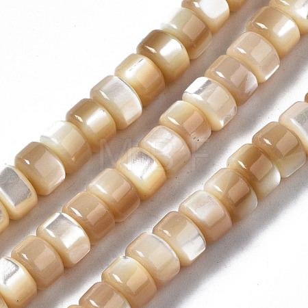 Natural Trochid Shell/Trochus Shell Beads Strands SSHEL-S266-016B-02-1