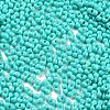 Baking Paint Glass Seed Beads X1-SEED-A033-05O-3