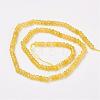 Natural Malaysia Jade Beads Strands G-D165-B-05-3