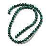 Synthetic Malachite Beads Strands G-B071-F01-02-2