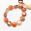 Flat Round Gemstone Natural Red Agate Stone Beads Strands G-S110-03-2