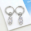 304 Stainless Steel Clear Cubic Zirconia Hoop Earrings WG95E49-02-2