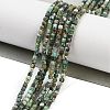 Natural African Turquoise(Jasper) Beads Strands G-H042-B41-01-2