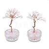 Natural Rose Quartz Chip Pachira Glabra Display Decorations DJEW-K025-04H-1