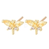 Brass Micro Pave Cubic Zirconia Stud Earrings for Women KK-A305-08G-07-5