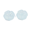 Frosted Transparent Acrylic Beads X1-OACR-P029-19B-06-3