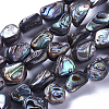 1 Strand Natural Abalone Shell/Paua Shell Beads Strands SSHEL-PA0001-03-8