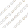 SUNNYCLUE 4 Strands Natural Cultured Freshwater Pearl Beads Strands PEAR-SC0001-13-1