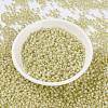 MIYUKI Round Rocailles Beads SEED-JP0009-RR0554-2