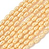 Electroplated Shell Pearl Beads Strands BSHE-C010-01A-1
