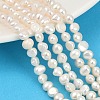 Natural Cultured Freshwater Pearl Beads Strands PEAR-P064-19E-12A-1