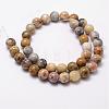 Natural Crazy Agate Beads Strands G-D840-70-10mm-2