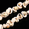 Natural Spiral Shell Beads Strands SSHEL-G024-02-4