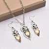 Owl Bohemia Style Alloy & Resin Pendant Necklaces & Dangle Earrings Sets FS-WGD384A-01-3