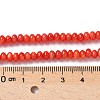 Natural Freshwater Shell Beads Strands SSHEL-C013-08A-4