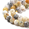 Natural African Opal Beads Strands G-B048-B03-02-4