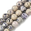 Natural Fossil Graduated Beads Strands G-F830-A03-01D-2