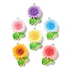 Opaque Resin Pendants RESI-K050-01-1