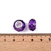 Baking Paint Transparent Glass European Beads GPDL-N004-C14mm-B05-3