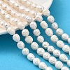 Natural Cultured Freshwater Pearl Beads Strands PEAR-I007-01E-01A-1