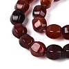 Dyed Natural Agate Beads Strands G-T144-50A-03-3