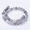 Natural Cloudy Quartz Bead Strands G-G735-81-10mm-2