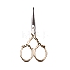 Stainless Steel Scissors PW-WGB3D50-06-1