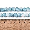 Opaque Ombre Effect Dyed Glass Beads Strands GLAA-Q106-04A-09-4