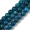 Natural Apatite Beads Strands G-D856-01-6mm-03-1