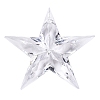 Transparent Acrylic Pendants TACR-T028-09A-1