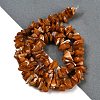 Natural Shell Beads Strands SHEL-K009-10-2