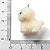 Resin Pendants LS-RESI-Q007-06B-3