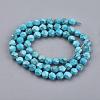 Dyed Natural Howlite Beads Strands TURQ-F010-12B-2