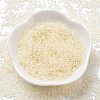 Transparent Inside Colours Glass Seed Beads X1-SEED-H003-04B-2