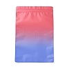 Two Tone Rectangle Plastic Zip Lock Gift Bags OPP-B006-01B-03-1