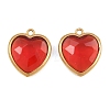 Valentine's Day 304 Stainless Steel with Glass Charms STAS-Q119-01G-A01-1