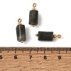 Natural Larvikite Pendants GG-CBACE45-02G-04-3