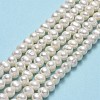 Natural Cultured Freshwater Pearl Beads Strands PEAR-F018-17B-01-2