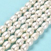 Natural Cultured Freshwater Pearl Beads Strands PEAR-E016-085-2