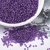 MIYUKI Round Rocailles Beads X-SEED-G007-RR1345-1