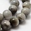 Natura Hawk's Eye Beads Strands G-D0001-22C-6mm-4