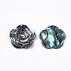 Paua Shell Cabochons SHEL-S276-43-2