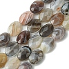 Natural Botswana Beads Strands G-H004-B02-04-1